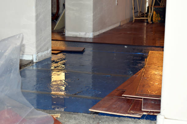 Professional Burst Pipe Cleanup technician working in Defiance, MO